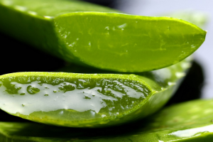 aloe extract